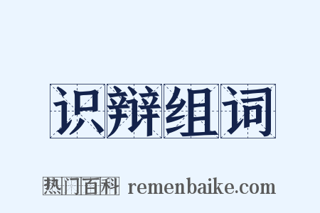 识辩组词是什么意思的图片